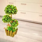Pavel\'S Apartment